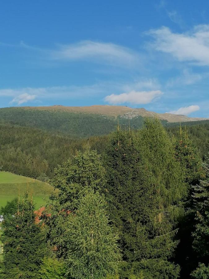 Ferienwohnung Familie Pichler Neumarkt in Steiermark Exterior foto